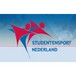 Polsstokverspringen/ Fierljeppen